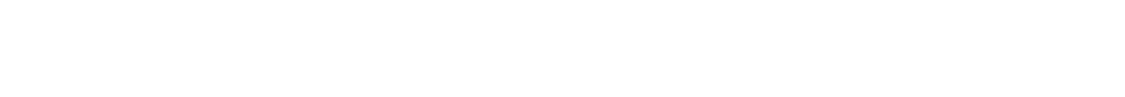 LOGO-FastFreeTraffic-white-horiz